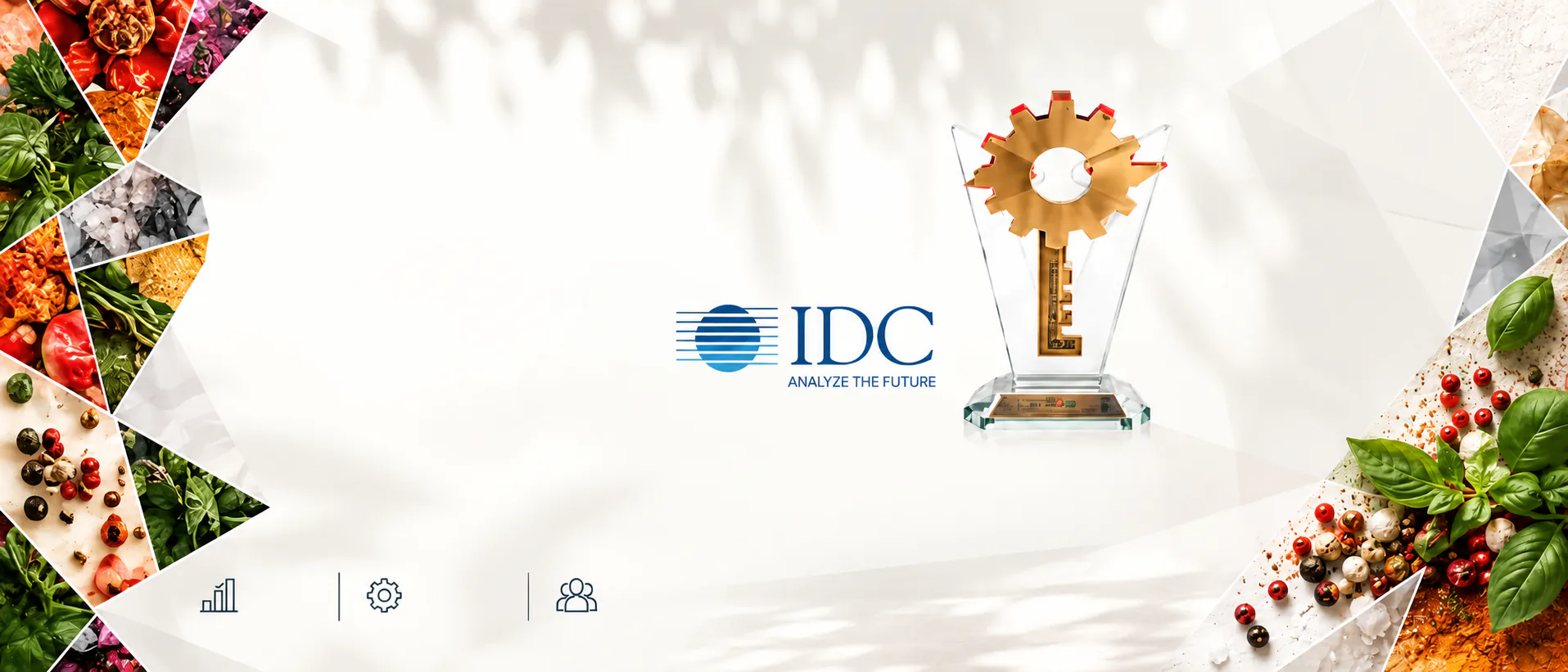 The IDC Analyze the Future logo beside the Productivity Project Awards trophy