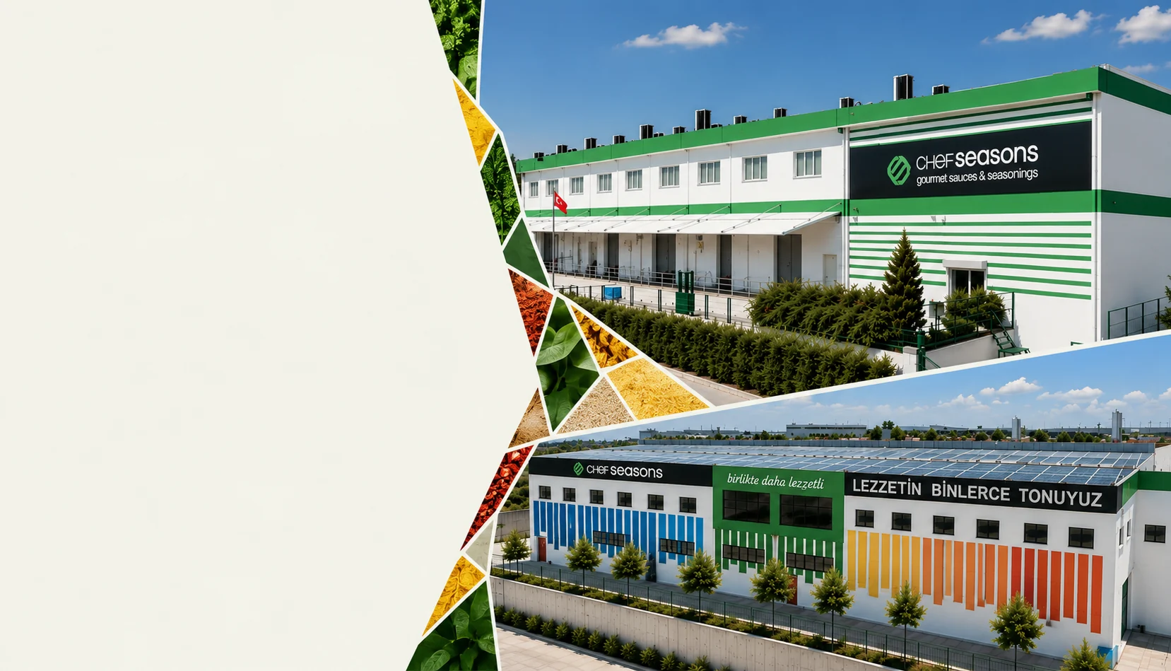Chef Seasons seasoning factory and sauce factory in İzmir, framed by colourful facets