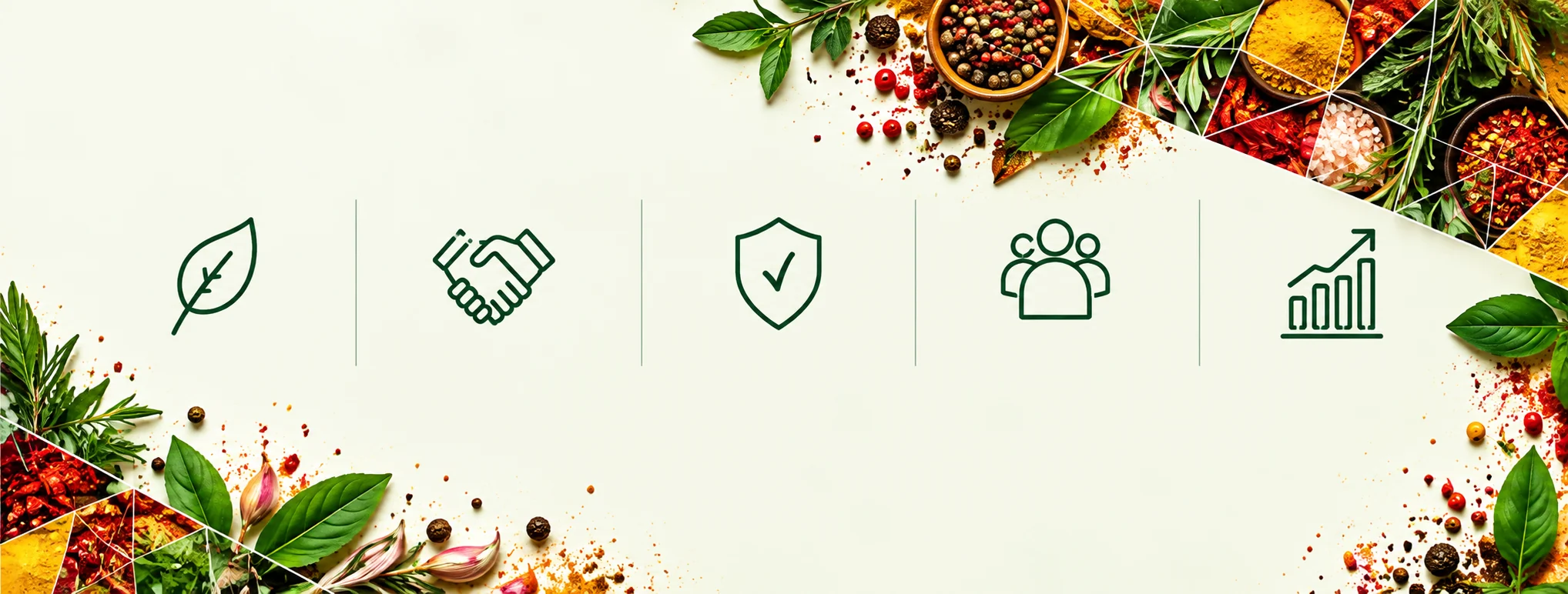 Icons for respect for the world, transparency, food safety, fairness and efficiency among herbs and spices